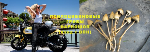 гашик Пестово