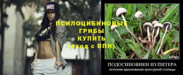 прущая мука Алзамай