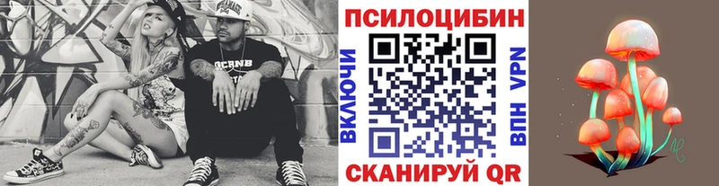 Псилоцибиновые грибы мицелий Лагань
