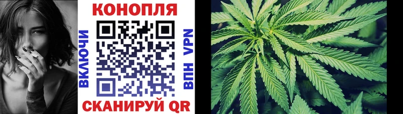 OMG   Лагань  Канабис ГИДРОПОН 
